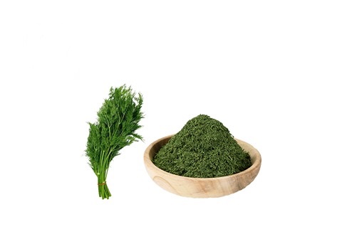 تصویر 3 از خرید سبزی شوید خشک شده + قیمت فروش استثنایی